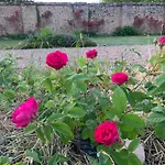 Château De La Faverie D Hôtes 4*