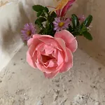Couette-café Château De La Faverie D Hôtes 4*