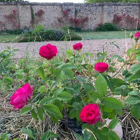 Chateau De La Faverie D Hotes 4*