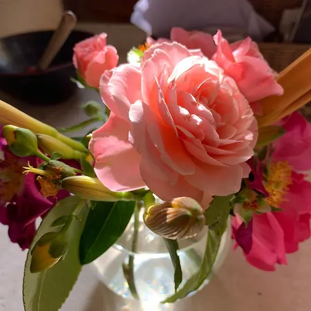 Nocleg ze śniadaniem Chateau De La Faverie D Hotes