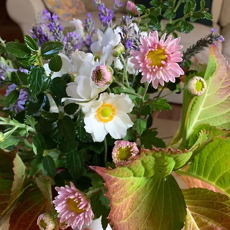 Château De La Faverie D Hôtes 4* Beaumont-Pied-de-Boeuf (Sarthe)