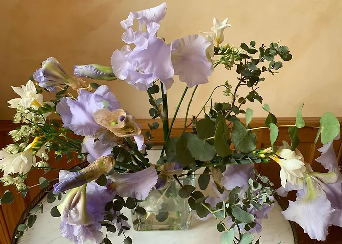 Château De La Faverie D Hôtes Beaumont-Pied-de-Boeuf (Sarthe)