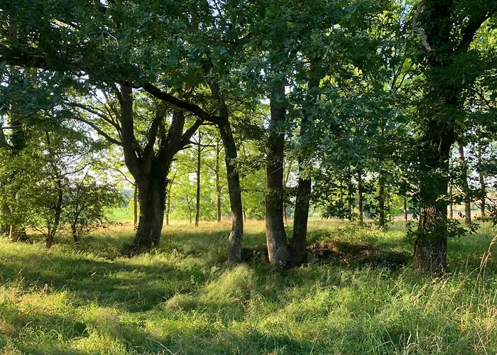 Château De La Faverie D Hôtes