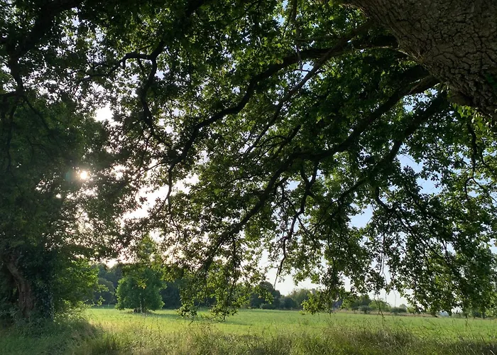 Château De La Faverie D Hôtes Couette-café 4*