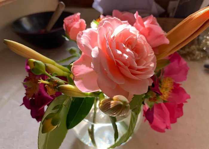 Couette-café Château De La Faverie D Hôtes