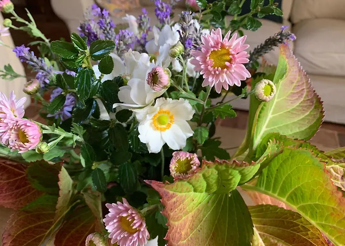 Château De La Faverie D Hôtes 4* Beaumont-Pied-de-Boeuf (Sarthe)